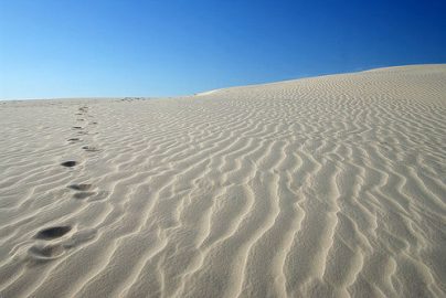 lost-in-desert-cafemomstatic-com-2020-truth-border-patrol