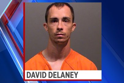 officer-david-delaney-10-years-child-pornography-2020-truth