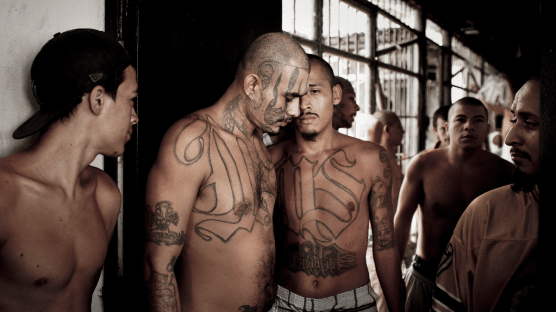 illegal-aliens-united-states-thepatriothill-com-2020-truth