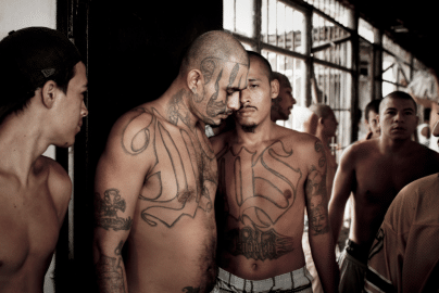 illegal-aliens-united-states-thepatriothill-com-2020-truth