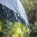 Prophetic Dream: The Cleansing Rain is Here