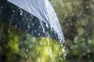 cleansing-rain-vanguardngr-com-2021-truth