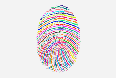 identity-velocitynetwork-foundation-2021-truth