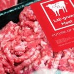 Bill Gates Says He Will Force You to Eat Fake Meat