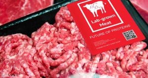 lab-grown-meat-synthetic-truth-humansarefree-com
