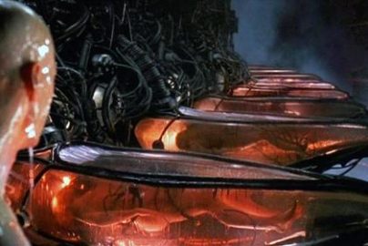 the_matrix_human_batteries