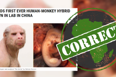human-monkey-grown-in-lab-africacheck-org-2021-truth