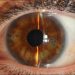 minority-report-eye-laser-thelancet-com-2021-sci-fi-reality-truth