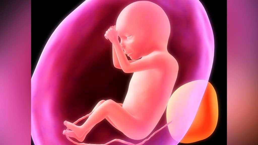 abortion-baby-1-cbn-com-2021-truth