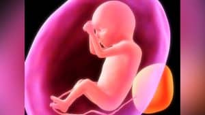 abortion-baby-1-cbn-com-2021-truth