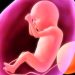 abortion-baby-1-cbn-com-2021-truth