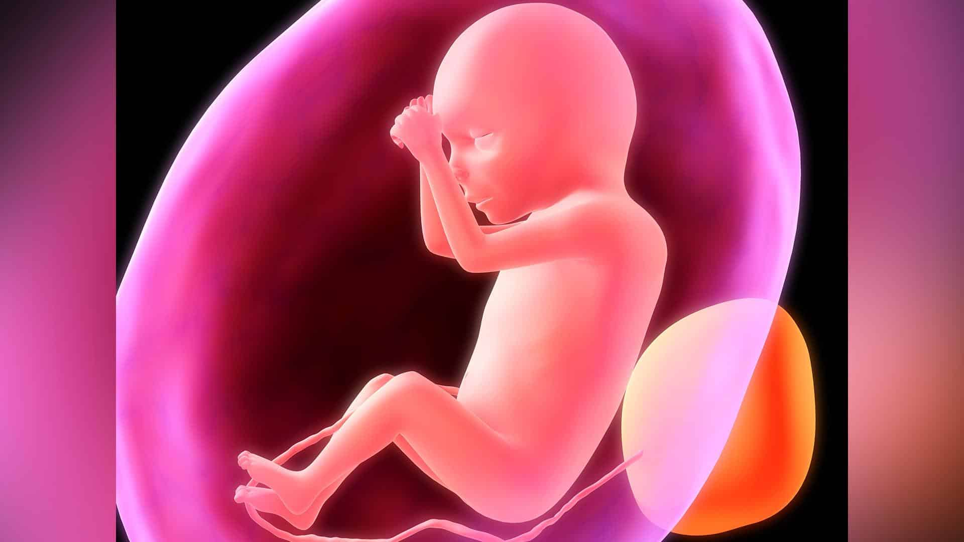 Democrats Defeat Pro-Life Amendment, Vote to Force Americans to Fund Abortions