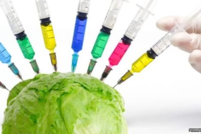 lettuce-vaccine-naturalblaze-com-2021-truth
