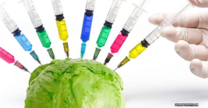 lettuce-vaccine-naturalblaze-com-2021-truth