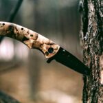 knife-tree-woods-survival-tactical-blog-gunassociation-org-2021-truth