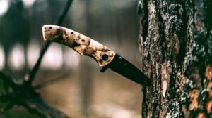 knife-tree-woods-survival-tactical-blog-gunassociation-org-2021-truth