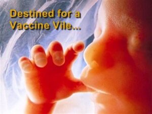 aborted-baby-vaccine-thelibertybeacon-com-2022-truth