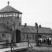 COVID Concentration Camps Now Activated In America, Roundups To Begin Soon