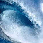 tidal-waves-newcastlebeach-org-2022-truth