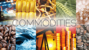 commodities-hubco-in-2022-truth