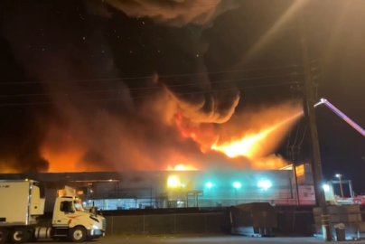 food-plant-fires-kmph-com-2022-truth