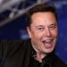 elon-musk-techcrunch-com-2022-truth