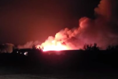 poultry-farm-fire-kare11-com-2022-truth