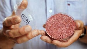 lab-grown-meat-theatlantic-com-2022-truth