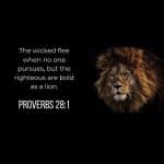 lion-courageous-kingdom-boldness-proverbs-28-verse-biblelyfe-com-2022-truth