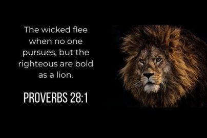 lion-courageous-kingdom-boldness-proverbs-28-verse-biblelyfe-com-2022-truth
