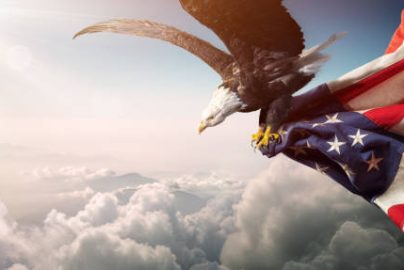 Eagle With American Flag Flies In The Sunny Sky