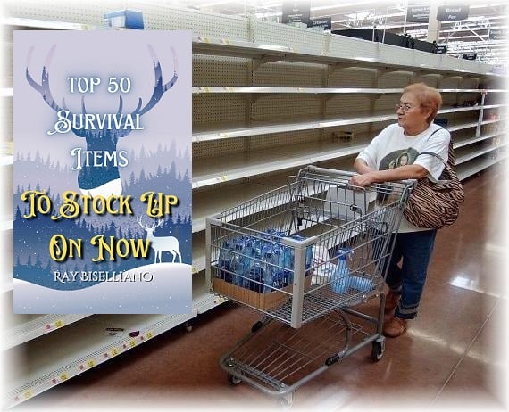food-shortages-survivalblog-com-2020-truth-ebook-added