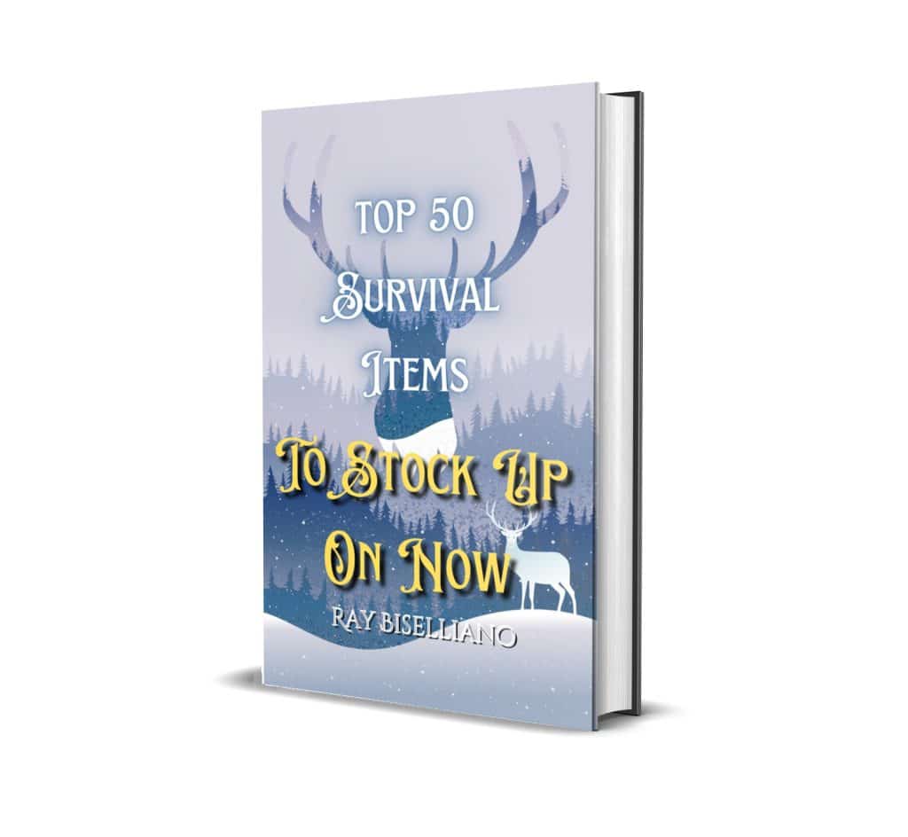 winter-2022-survival-ebook-3d-book-cover-free-markup