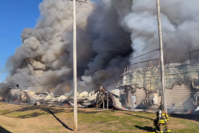 fire-egg-farm-theblaze-com-2023-truth