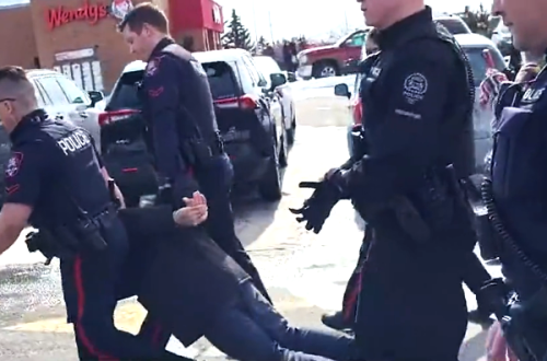 Reimer-arrested-rebelnews-screenshot-2023-truth