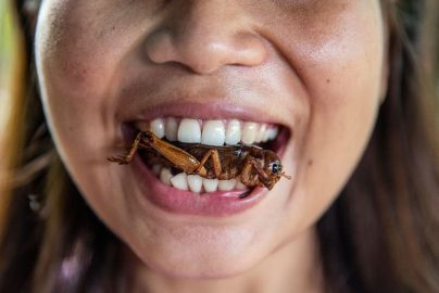 eating-a-bug-bbc-com-2023-truth