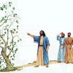 Jesus-parable-of-fig-tree-the-bible-omgholysmoke-com-2023-truth