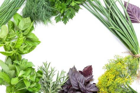 beautiful-garden-fresh-green-herbs-natural-freepik-com-2024-truth