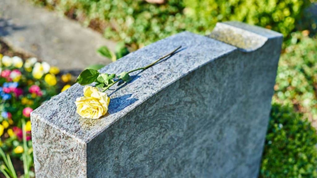 digital-tombstone-yellow-rose-mentalfloss-com-2024-truth