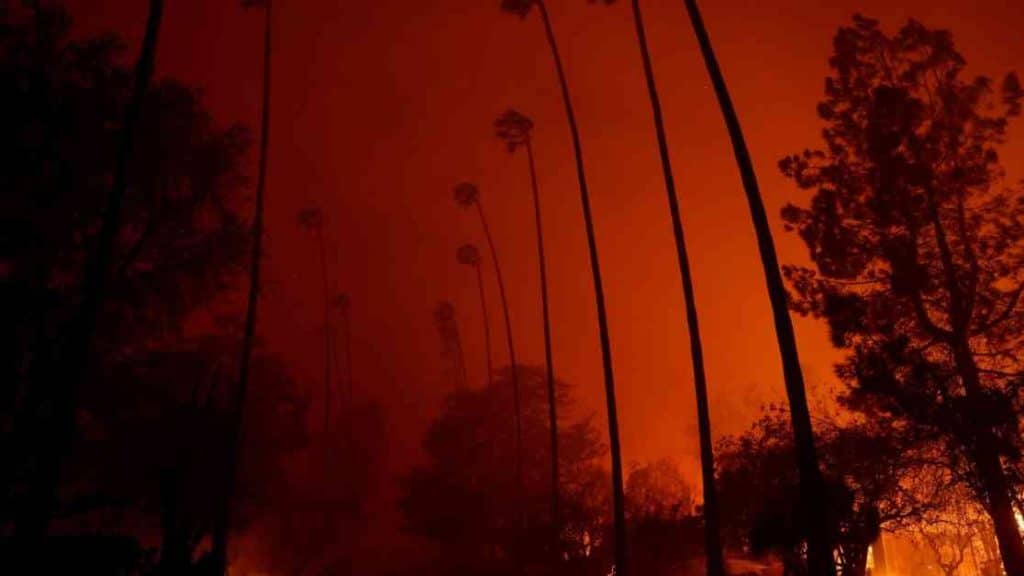 california-fire-usanews-net-2025-truth