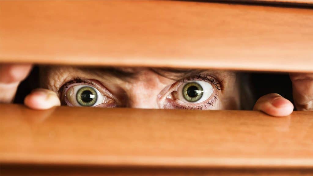 neighbors-spying-foxnews-com-2025-truth