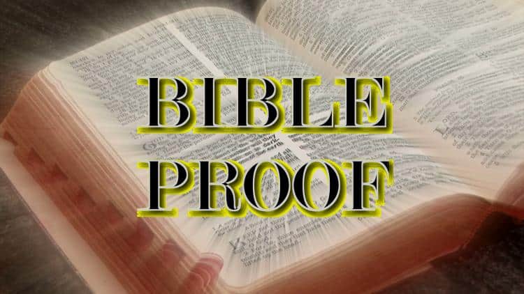 open-bible-light-storyblocks-video-2023-truth-text-bible-proof-edit