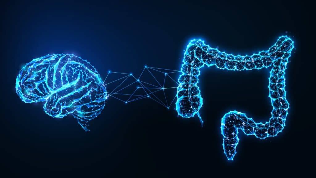 gut-brain-barrier-livescience-com-2026-truth